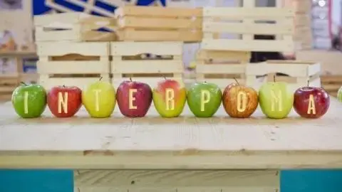 专为苹果打造的Interpoma国际苹果种植设备技术展览会