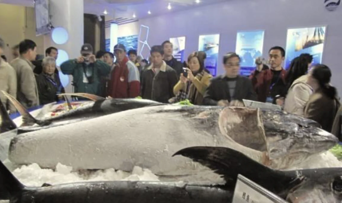 2019上海渔博会8月在沪盛大举行,全球优质水产供应商云集上海