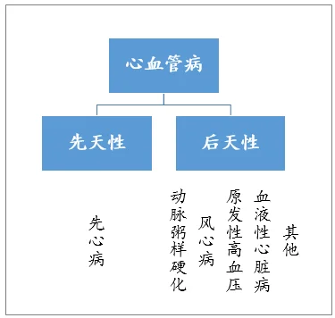 近年我国心血管病患者增多，中成药类心血管病药物快速增长