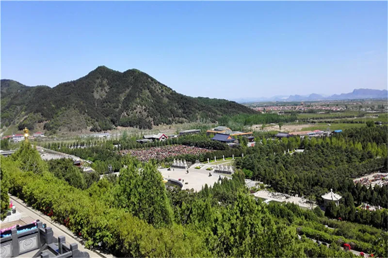 节地生态葬：探索殡葬改革之路