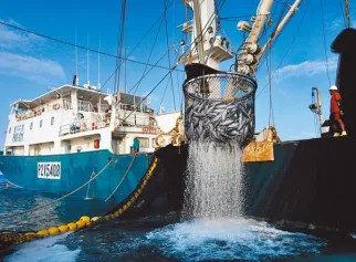 我国远洋渔业的发展成就回顾与未来发展展望