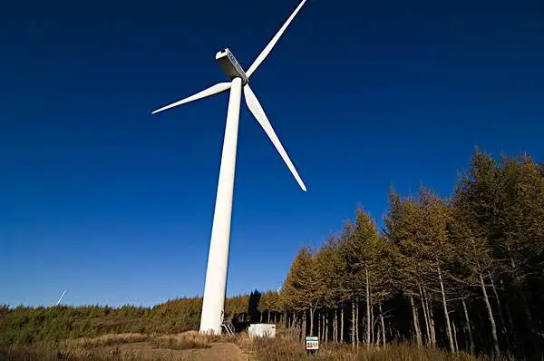 风能行业积极寻求确保风电开发与环境保护协调发展的途径