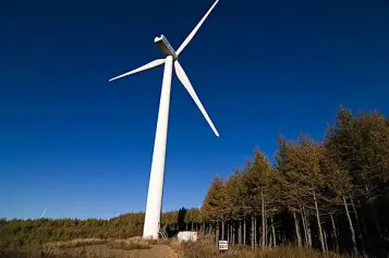 风能行业积极寻求确保风电开发与环境保护协调发展的途径