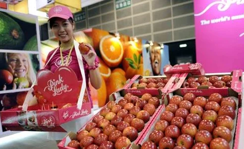亚洲食品与果蔬展集产品展示、采购、贸易配对于一体