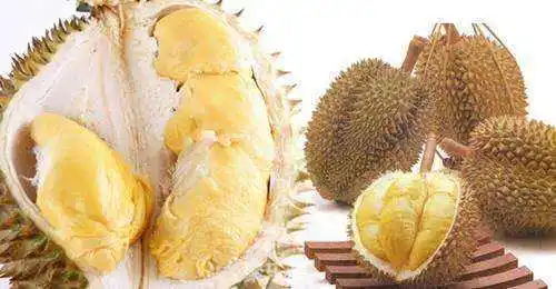 2019马来西亚国际榴莲节在京开幕