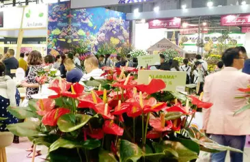 2021年中国国际花卉园艺展将于春节后启动