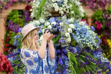 切尔西花展改在线上举行，为期六天