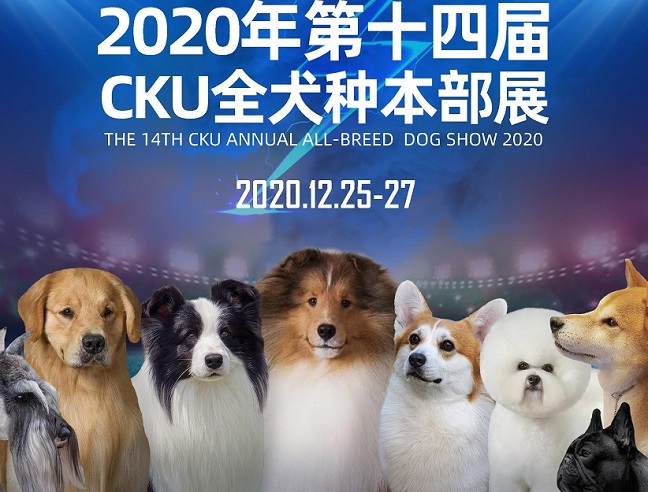 精准塑造品质宠物盛会！第六届华南宠物展即将开幕
