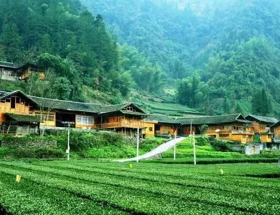 乡村休闲旅游为乡村产业拓展新空间