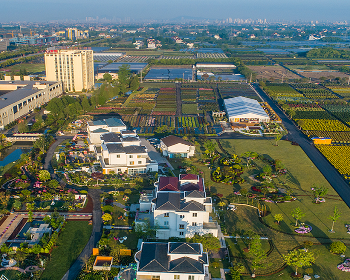Haining International Flower City