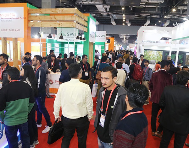 印度纸展现场图片3