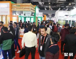 印度纸展现场图片3