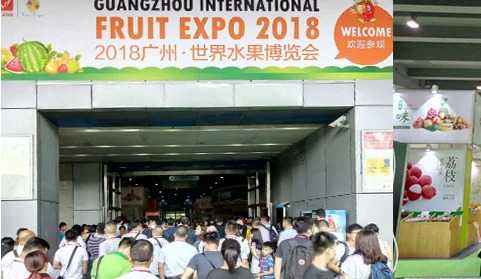 鲜果荟萃：2019广州·世界水果博览会