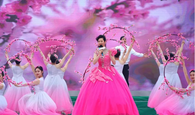 桃花源文化旅游节开幕