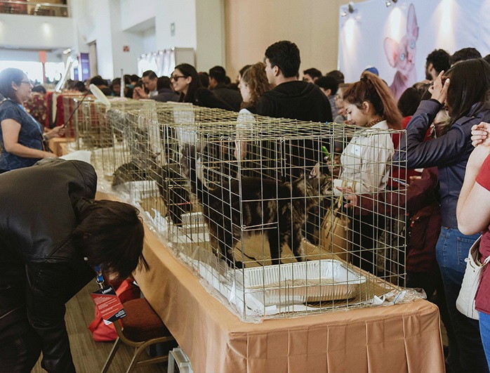 墨西哥宠物用品展展会现场(现场盛况)3