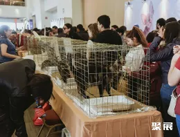 墨西哥宠物展现场图片3