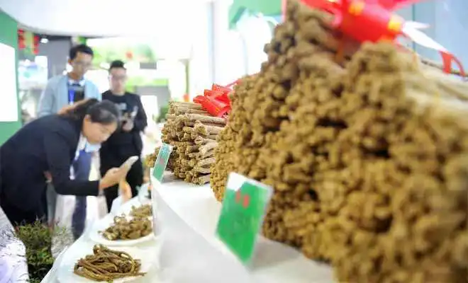 中医药市场将迎来新一轮发展机遇！