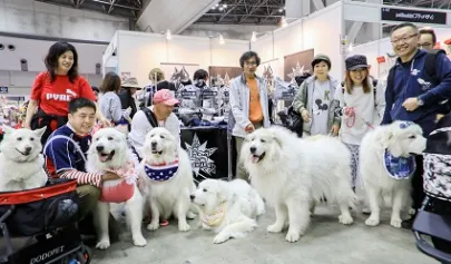 东京宠物展Interpets