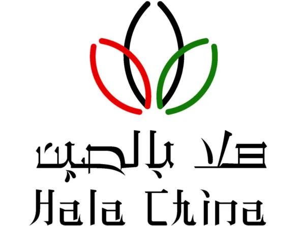 阿联酋与中国希望通过数字博览会重振双边经济活动