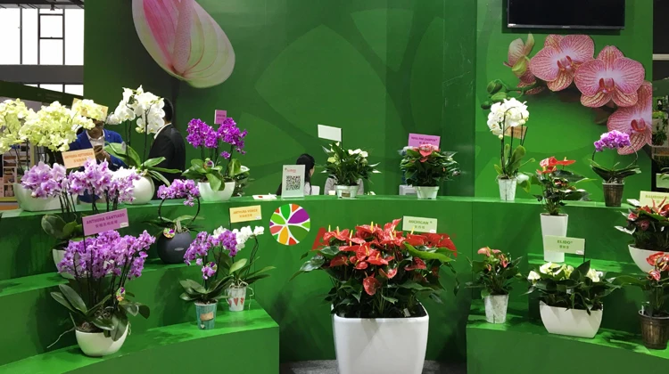 【优质推荐】第二十届昆明花卉展
