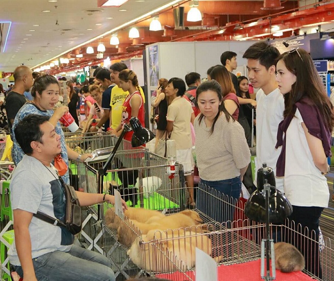 泰国宠物展现场图片4