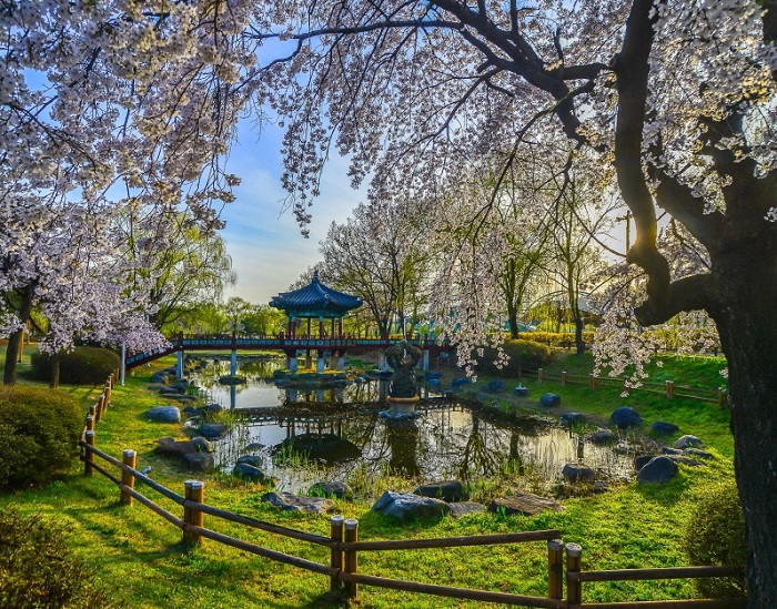 Cheonan Samgeori Park
