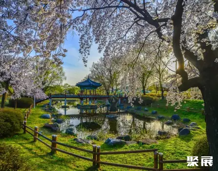 Cheonan Samgeori Park