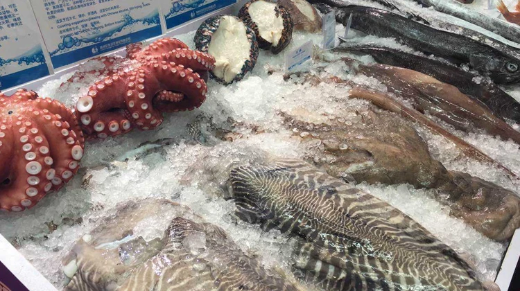 越南多家企业参加第27届布鲁塞尔水产展